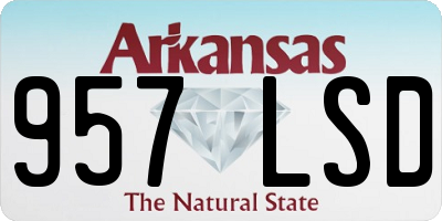 AR license plate 957LSD