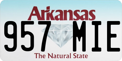 AR license plate 957MIE