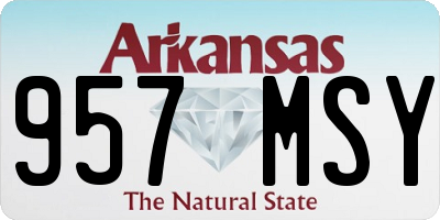 AR license plate 957MSY