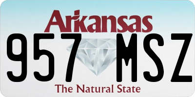 AR license plate 957MSZ