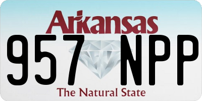 AR license plate 957NPP