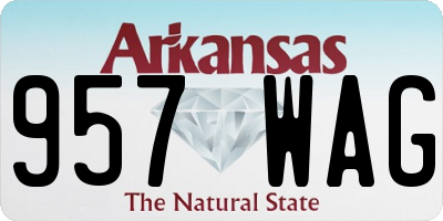 AR license plate 957WAG