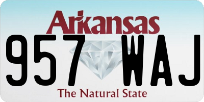 AR license plate 957WAJ