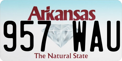 AR license plate 957WAU