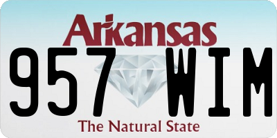 AR license plate 957WIM