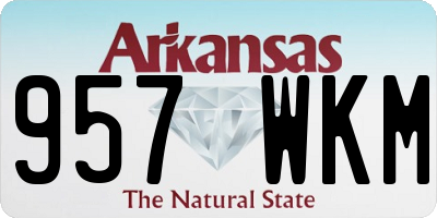 AR license plate 957WKM