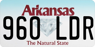 AR license plate 960LDR