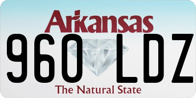 AR license plate 960LDZ