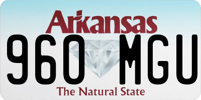 AR license plate 960MGU