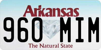 AR license plate 960MIM
