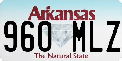 AR license plate 960MLZ