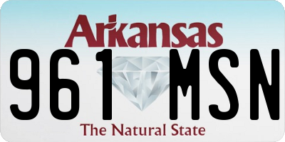 AR license plate 961MSN