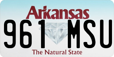 AR license plate 961MSU