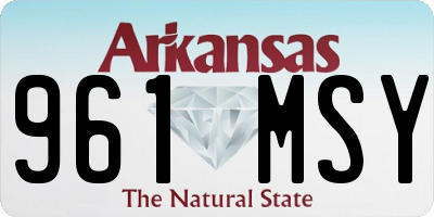 AR license plate 961MSY