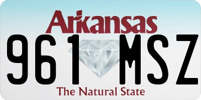 AR license plate 961MSZ