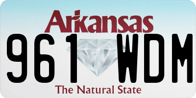 AR license plate 961WDM