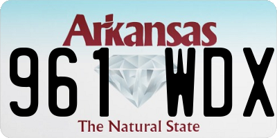 AR license plate 961WDX