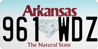 AR license plate 961WDZ