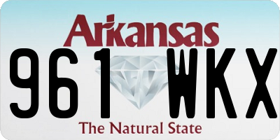 AR license plate 961WKX