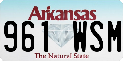 AR license plate 961WSM