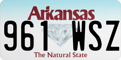 AR license plate 961WSZ