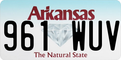 AR license plate 961WUV