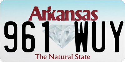 AR license plate 961WUY