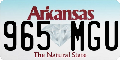 AR license plate 965MGU