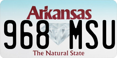 AR license plate 968MSU