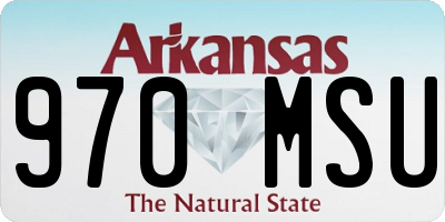 AR license plate 970MSU