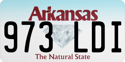 AR license plate 973LDI
