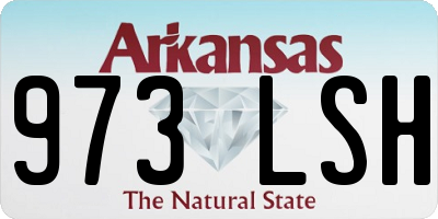 AR license plate 973LSH