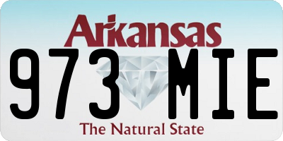 AR license plate 973MIE