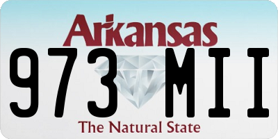 AR license plate 973MII