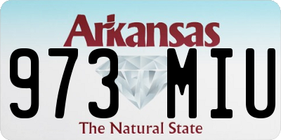 AR license plate 973MIU