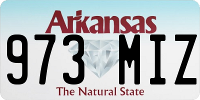 AR license plate 973MIZ