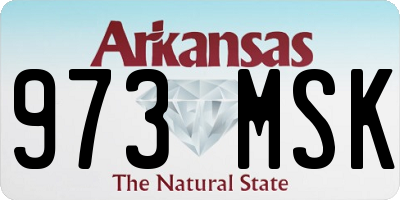 AR license plate 973MSK