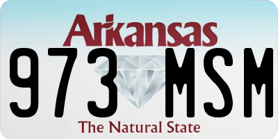 AR license plate 973MSM