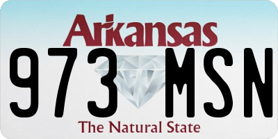 AR license plate 973MSN