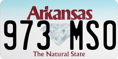 AR license plate 973MSO
