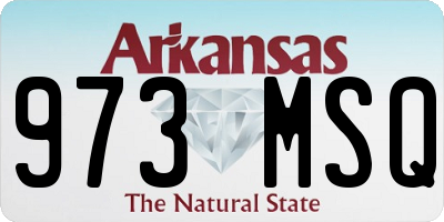 AR license plate 973MSQ