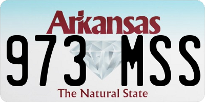 AR license plate 973MSS