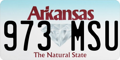 AR license plate 973MSU