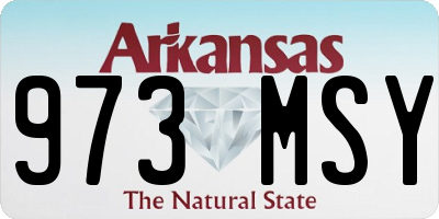 AR license plate 973MSY