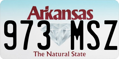 AR license plate 973MSZ