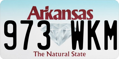 AR license plate 973WKM