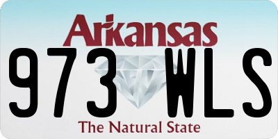AR license plate 973WLS