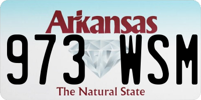 AR license plate 973WSM