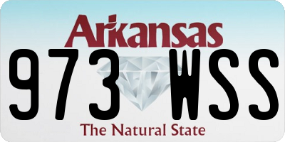 AR license plate 973WSS