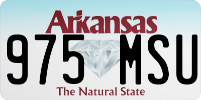 AR license plate 975MSU